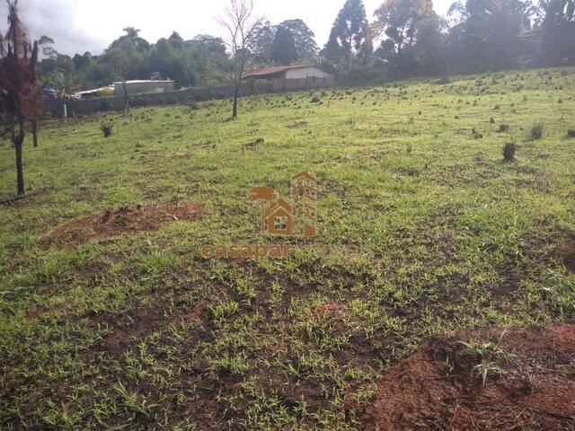 #4820 - Terreno para Venda em São Roque - SP - 2