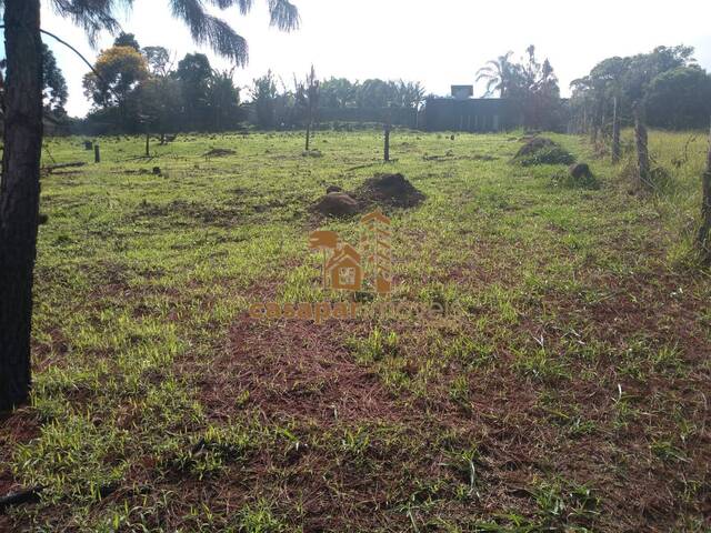 Terreno para Venda em São Roque - 4
