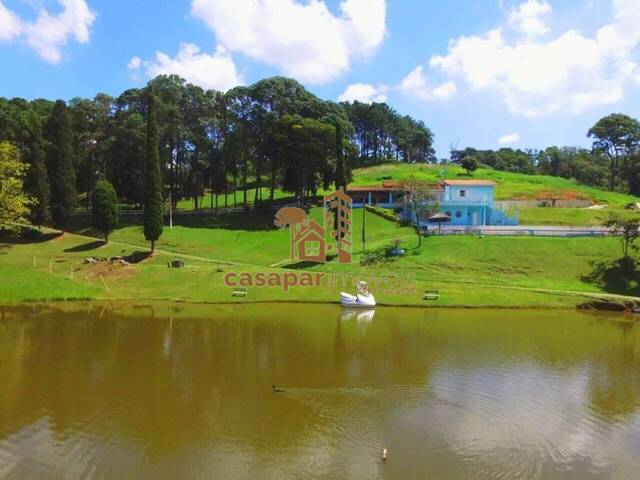 Sítio para Venda em São Roque - 5
