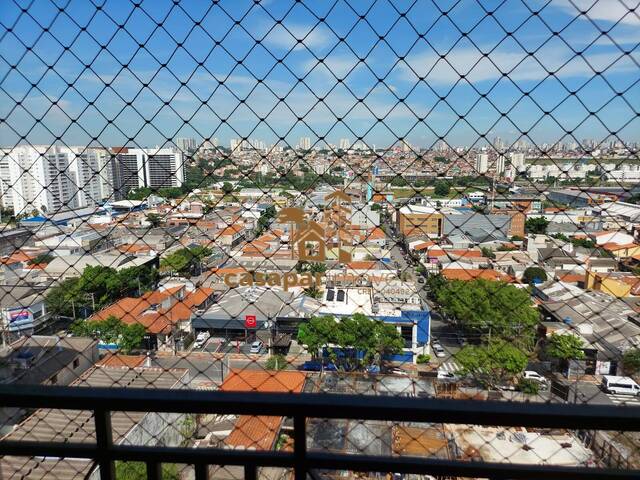#6629 - Apartamento para Venda em São Caetano do Sul - SP - 3