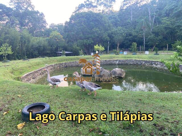 Sítio para Venda em Pedro de Toledo - 5