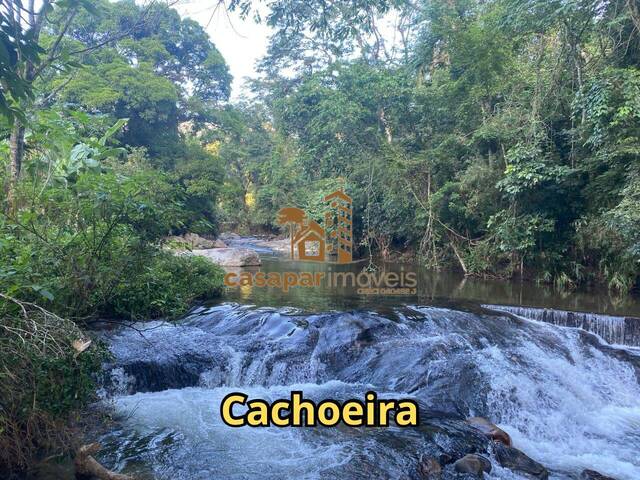 Sítio para Venda em Pedro de Toledo - 4