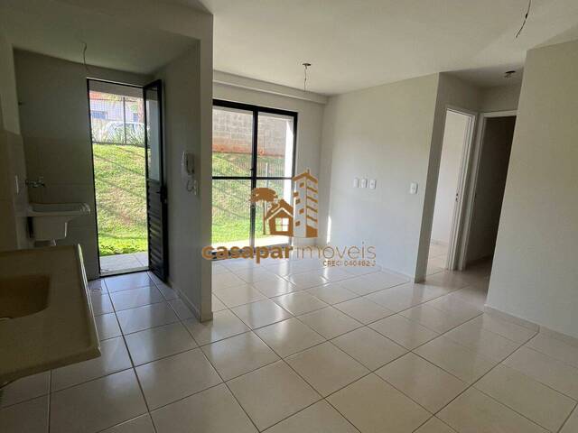 #6825 - Apartamento para Venda em Cambé - PR - 1