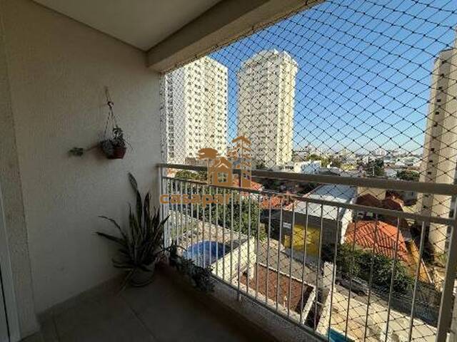Apartamento para Venda em São Caetano do Sul - 5