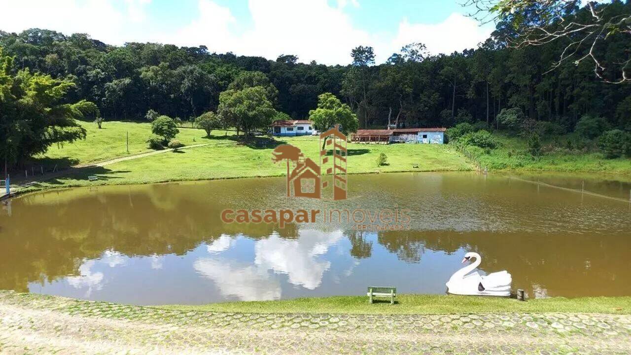 Sítio à Venda em São Roque com 68.993m², Total Comodidade e Tranquilidade