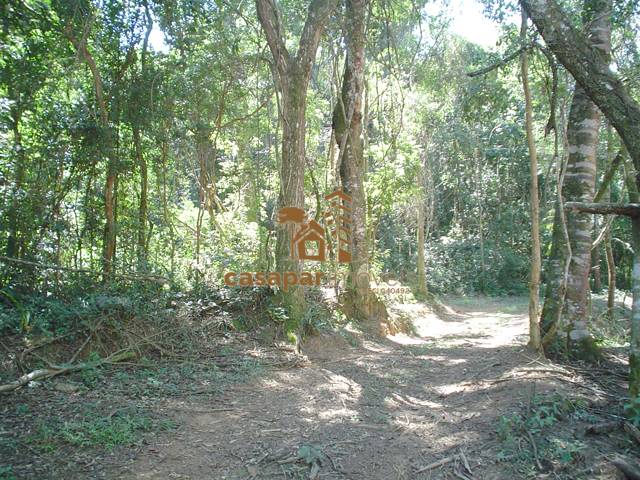 Sitio à Venda em Atibaia com 26.000m², com Piscina, Espaço Gourmet e Lazer