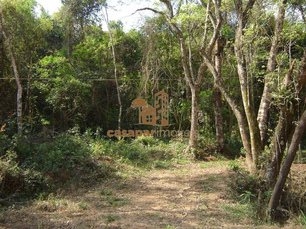 Sitio à Venda em Atibaia com 26.000m², com Piscina, Espaço Gourmet e Lazer