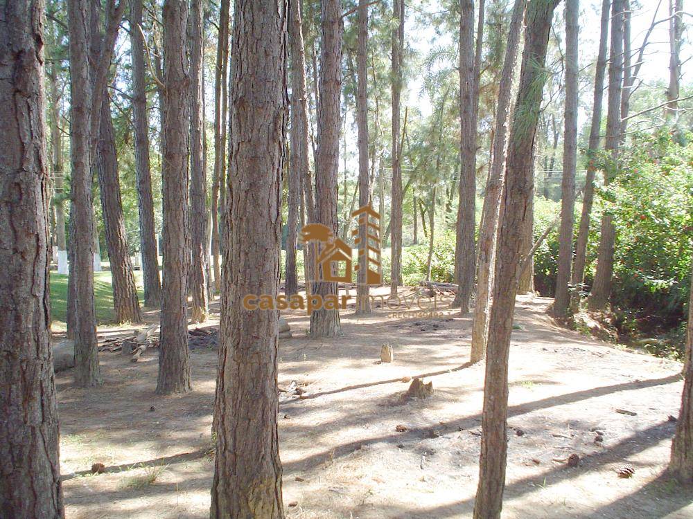 Sitio à Venda em Atibaia com 26.000m², com Piscina, Espaço Gourmet e Lazer